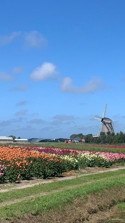 Holiday home Cityhouse Vincent Den Helder